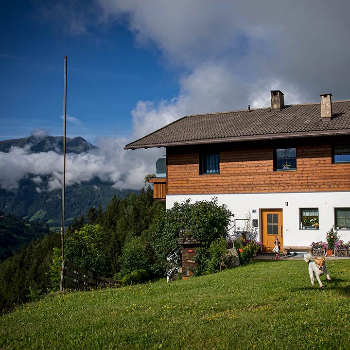 Reicheggerhof Bauernhof 